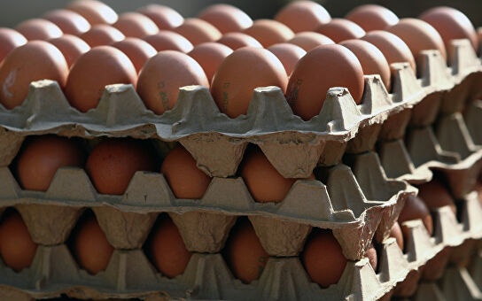 Украинские поставщики яиц в Израиль подтвердили кошерность продукции